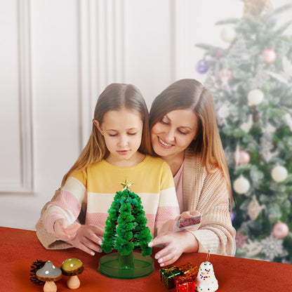 Magical Christmas Tree Experiment Kit