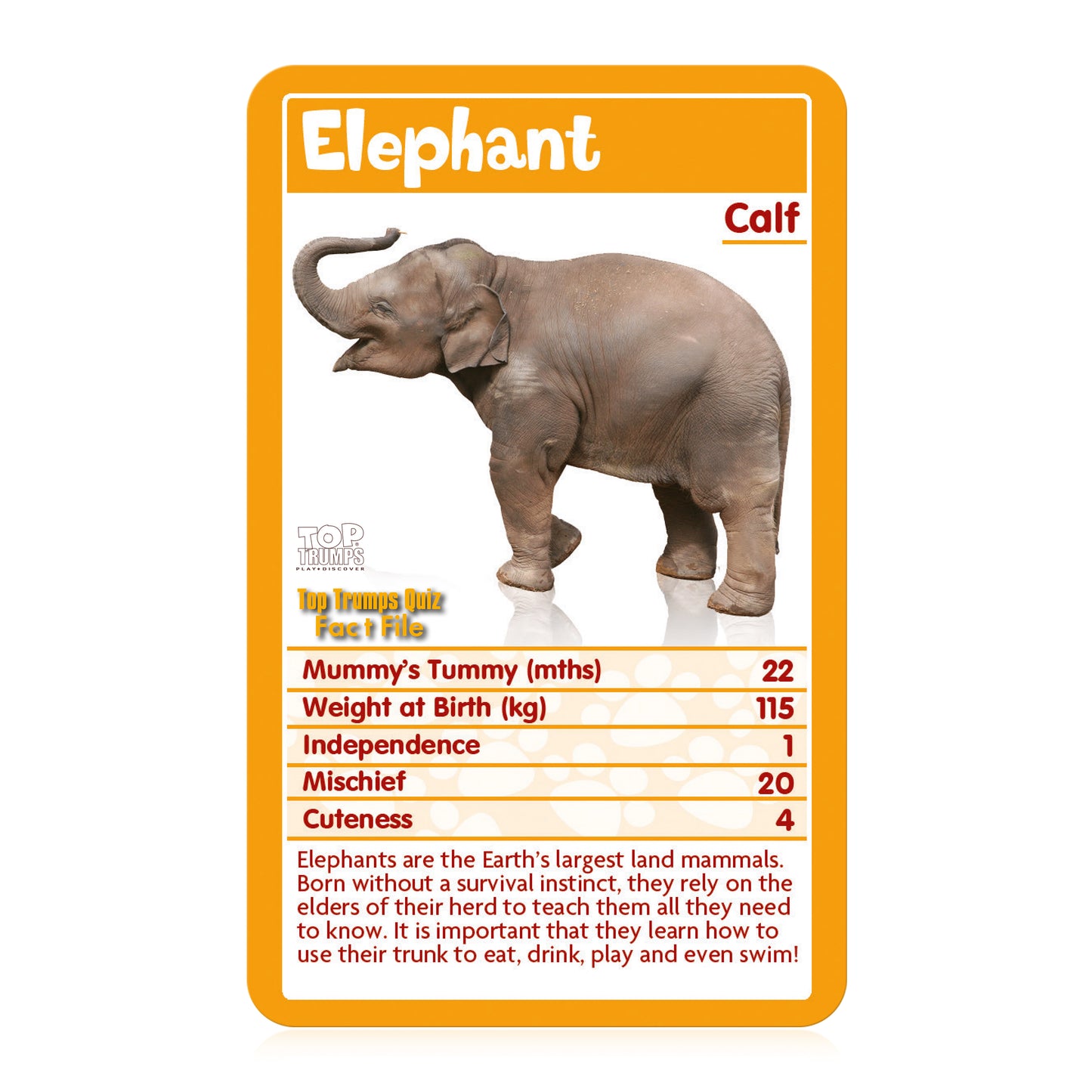 Toptrumps Baby Animals Card