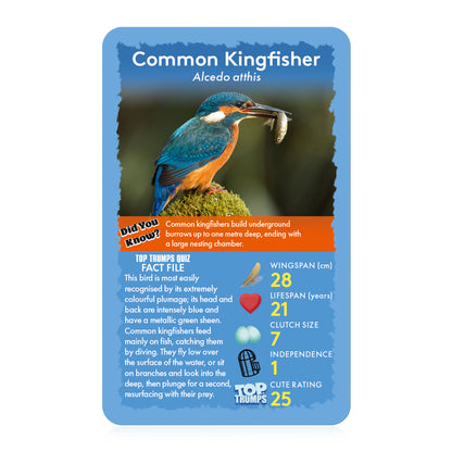 Top Trumps Birds Card