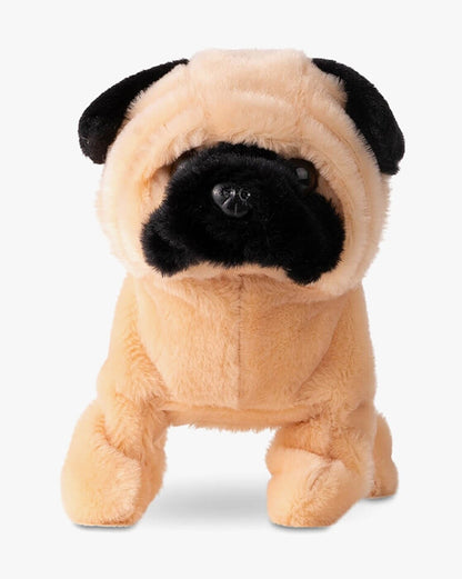 PEANUT THE PUG WALKING DOG