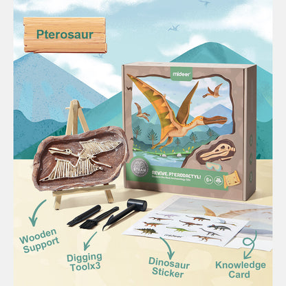 Revive a Pterosaur - Dig a Dinosaur Kit