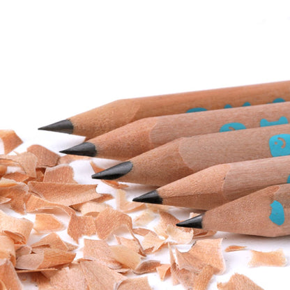 Triangular Pencil 2B - 6 pcs